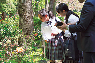 野外授業で花を観察する生徒