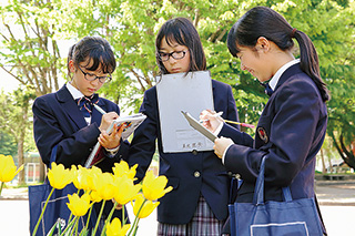 野外授業で花を観察する生徒
